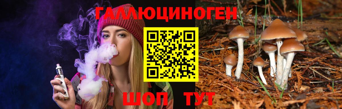 Галлюциногенные грибы мухоморы  Вход с VPN  Шатура 